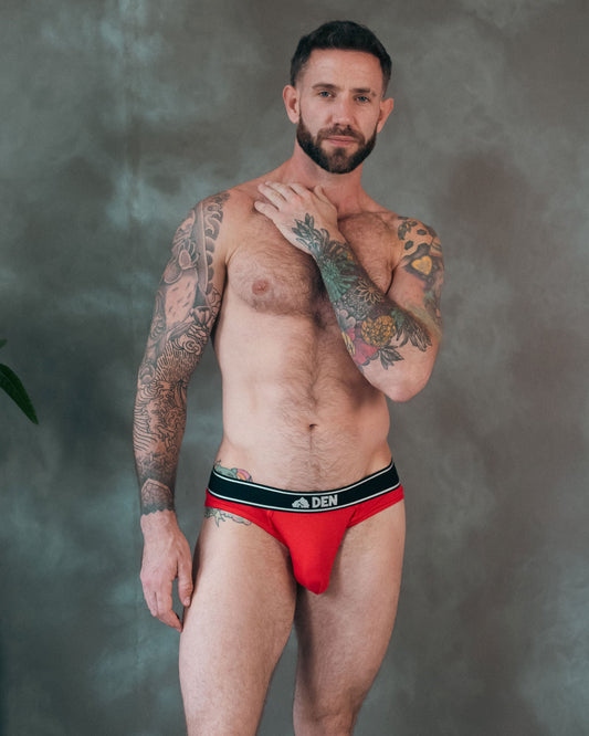 Hybrid Brief - Red